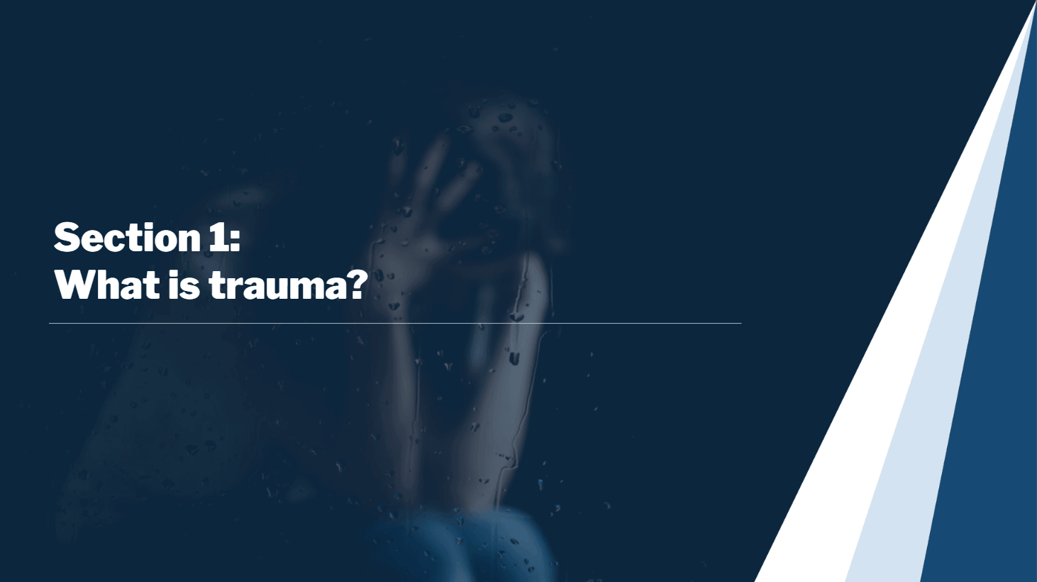 Beacon of Light curriculum consulting