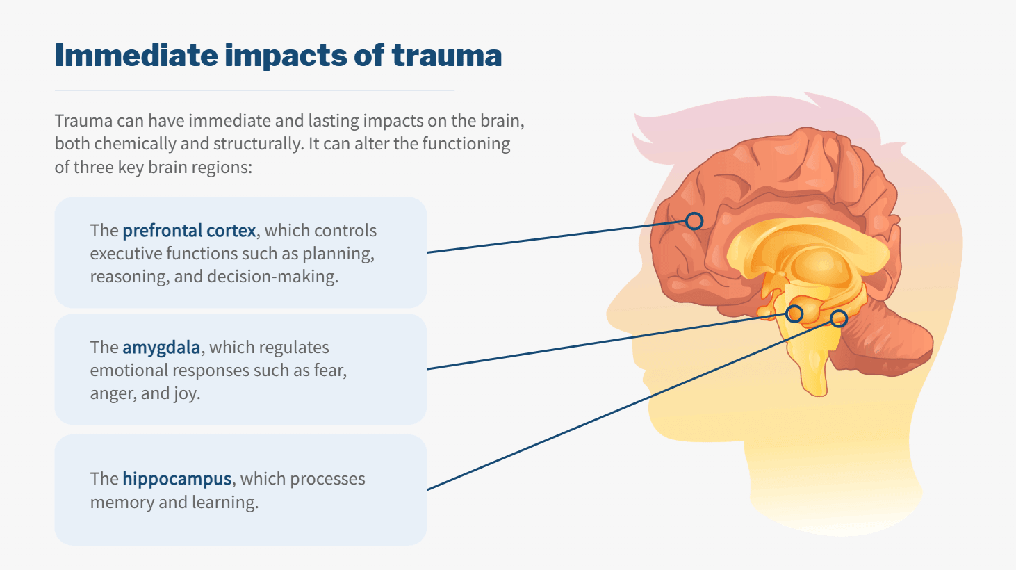 Beacon of Light video training