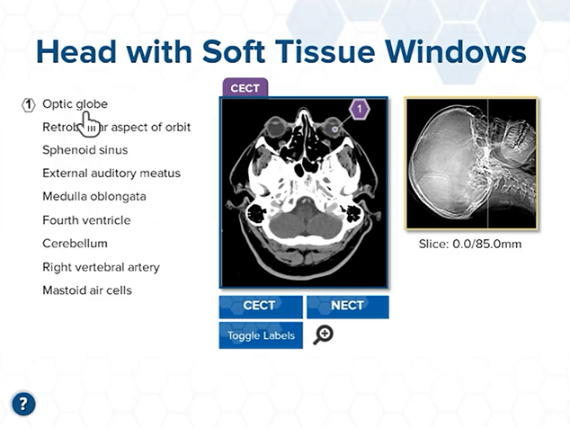 CAMRT certification course interface