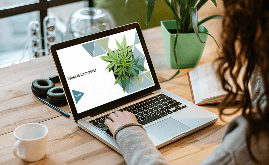 LGCA Cannabis case study